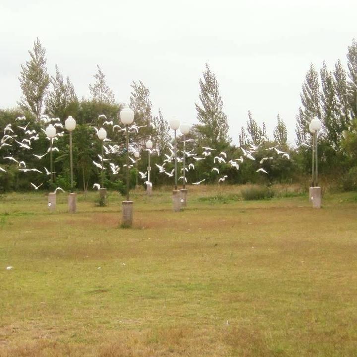 Cabañas Laukan San Agustín de Valle Fértil Exterior foto