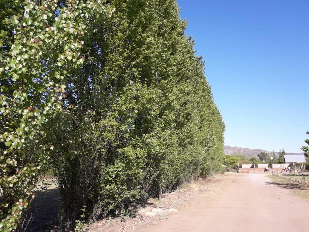 Cabañas Laukan San Agustín de Valle Fértil Exterior foto