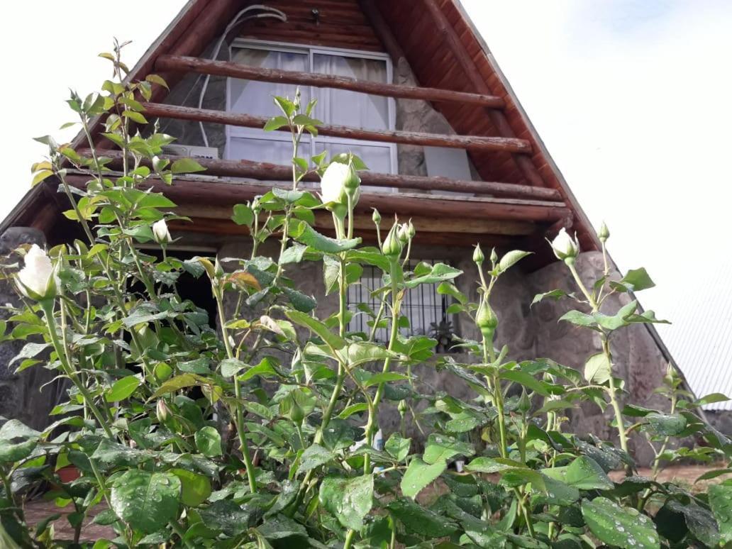 Cabañas Laukan San Agustín de Valle Fértil Exterior foto