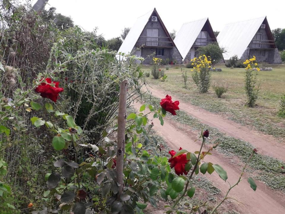 Cabañas Laukan San Agustín de Valle Fértil Exterior foto