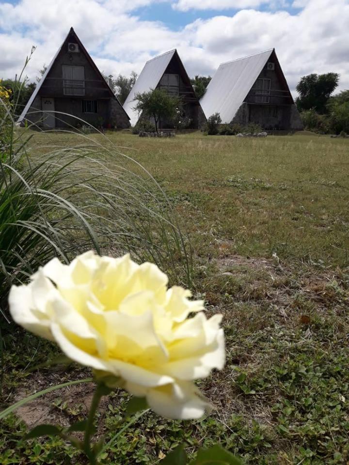 Cabañas Laukan San Agustín de Valle Fértil Exterior foto